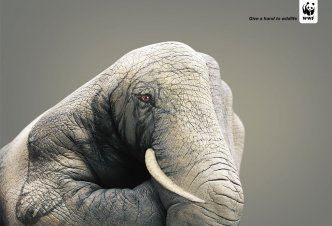 WWF Elephant - 2006/10